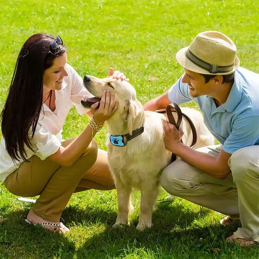 Anti-Bark Dog Collar